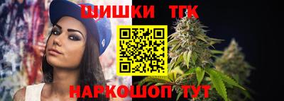 индика Кузнецк