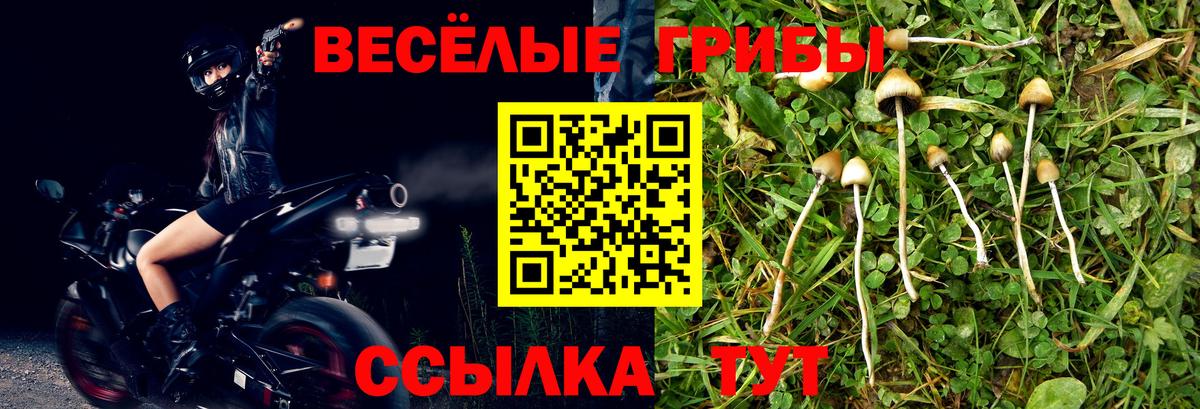 Псилоцибиновые грибы ЛСД  Вход с VPN  Грозный 